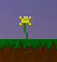Yellow flower.png