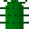 Cactus Top.png