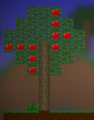 AppleTree.png
