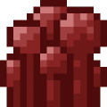 Placed Nether Wart 3.png